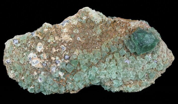 Fluorite & Galena Cluster - Rogerley Mine #60368